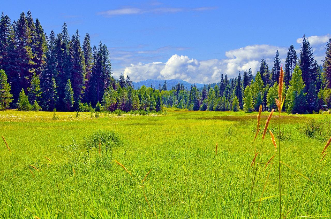 Leavenworth Camping Resort Tiny House Adeline エクステリア 写真